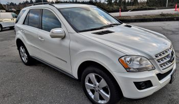 2010 Mercedes ML350 full