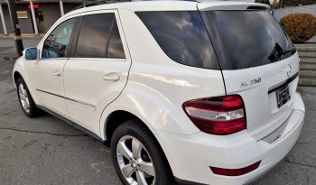 2010 Mercedes ML350 full