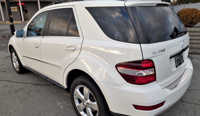 2010 Mercedes ML350 full